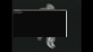 Team Fortress 2 Genuine Initial Loading Screen.jpg